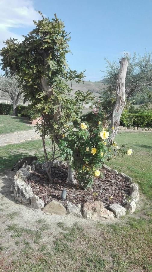 Agriturismo Casa Al Povero Вольтерра Екстер'єр фото